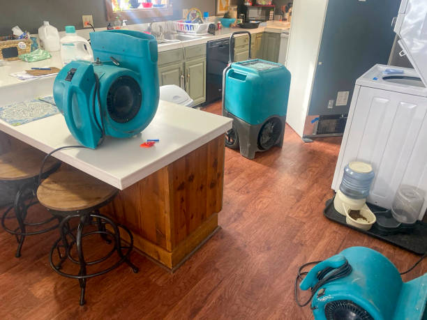 Best Basement water damage restoration  in Eagle Butte, SD